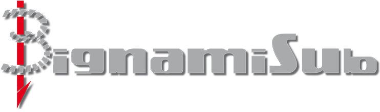 Bignami Sub Logo